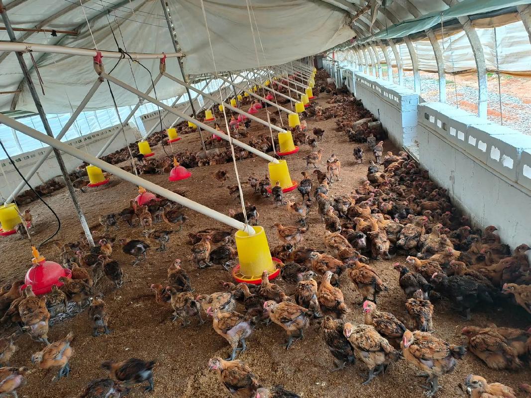 时光清浅，心自安然 在清淡日子里寻找生活的真味