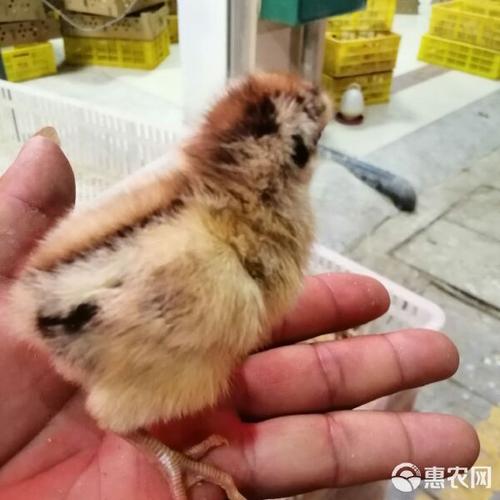 店铺相册店铺档案产品供应搜全站搜本店扫码逛0元累计成交额8粉丝
